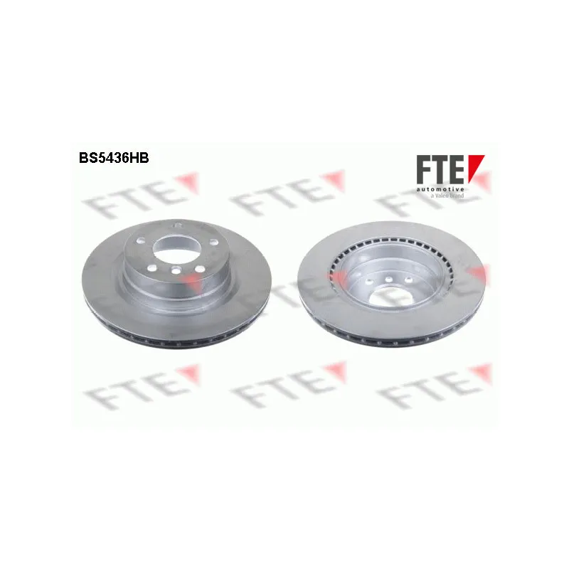Jeu de 2 disques de frein arrière FTE BS5436HB
