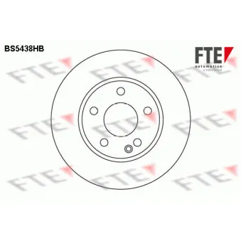 Jeu de 2 disques de frein avant FTE BS5438HB