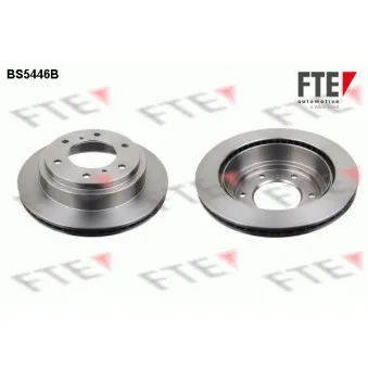Jeu de 2 disques de frein arrière FTE BS5446B
