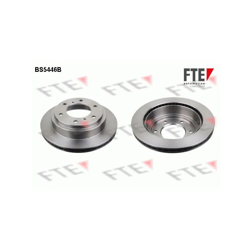 Jeu de 2 disques de frein arrière FTE BS5446B