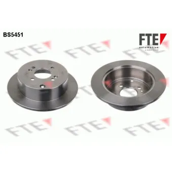 Jeu de 2 disques de frein arrière FTE BS5451