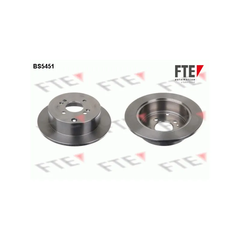 Jeu de 2 disques de frein arrière FTE BS5451