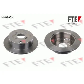 Jeu de 2 disques de frein arrière FTE BS5451B