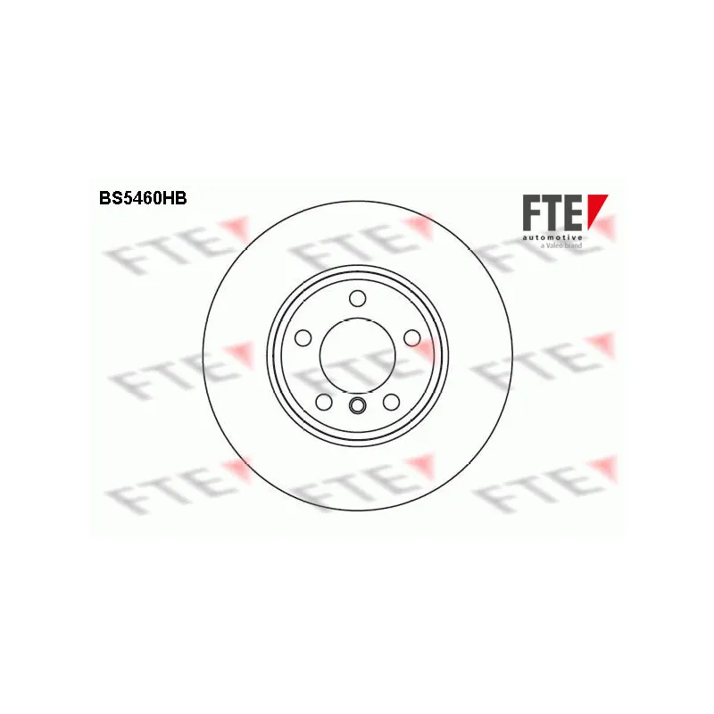 Jeu de 2 disques de frein avant FTE BS5460HB