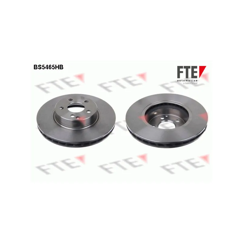 Jeu de 2 disques de frein avant FTE BS5465HB