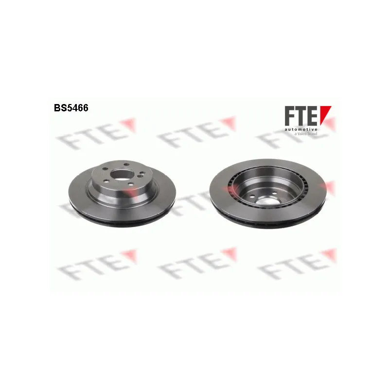 Jeu de 2 disques de frein arrière FTE BS5466