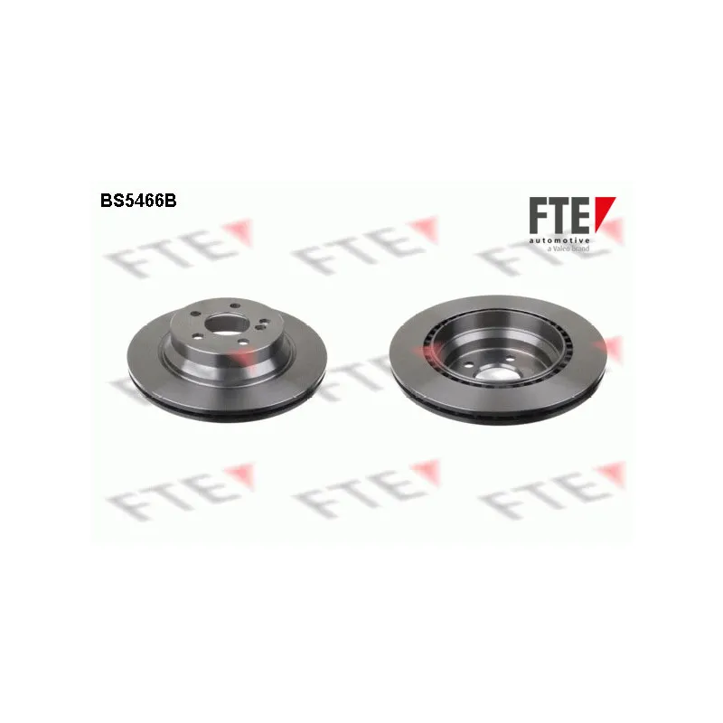 Jeu de 2 disques de frein arrière FTE BS5466B