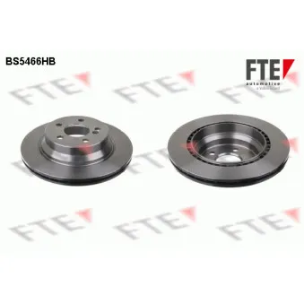 Jeu de 2 disques de frein arrière FTE BS5466HB
