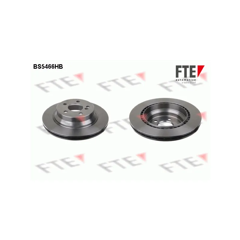 Jeu de 2 disques de frein arrière FTE BS5466HB