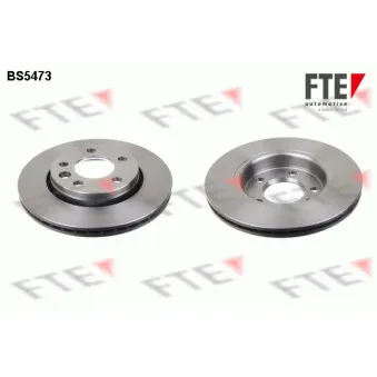 Jeu de 2 disques de frein arrière FTE BS5473