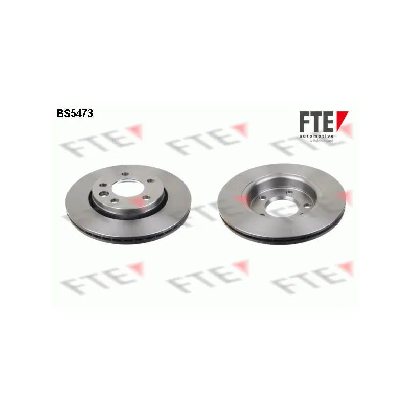 Jeu de 2 disques de frein arrière FTE BS5473