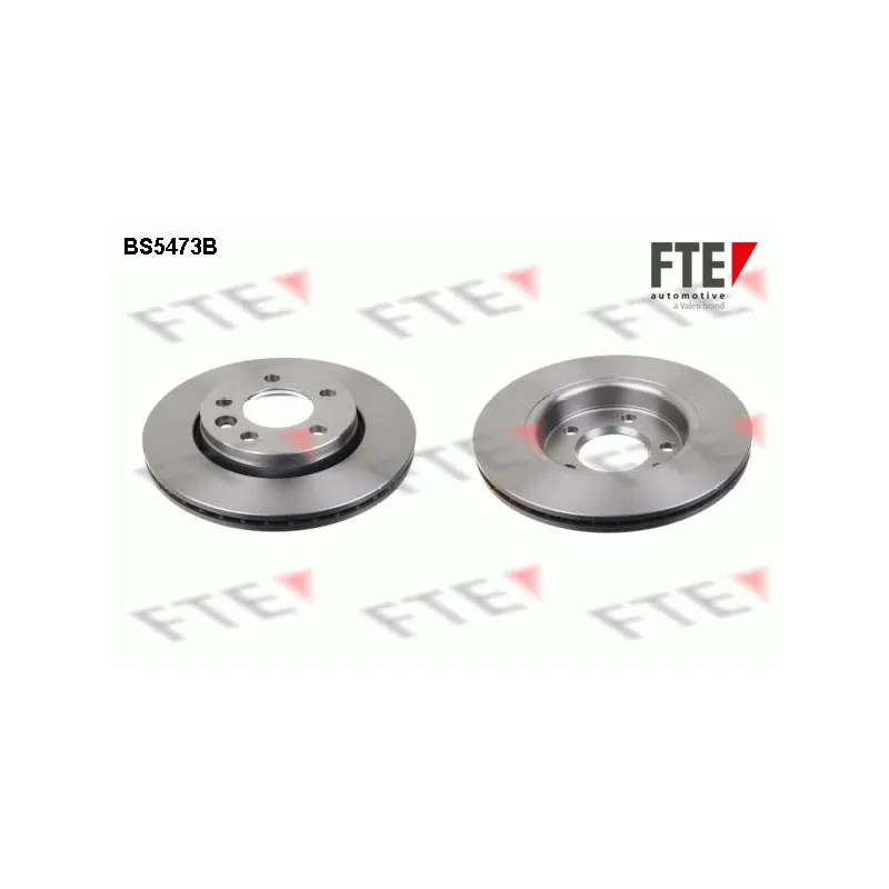 Jeu de 2 disques de frein arrière FTE BS5473B