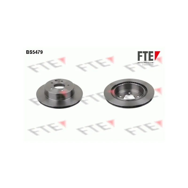 Jeu de 2 disques de frein arrière FTE BS5479