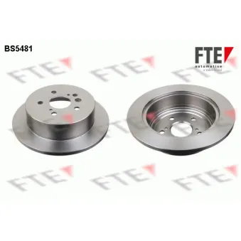 Jeu de 2 disques de frein arrière FTE BS5481