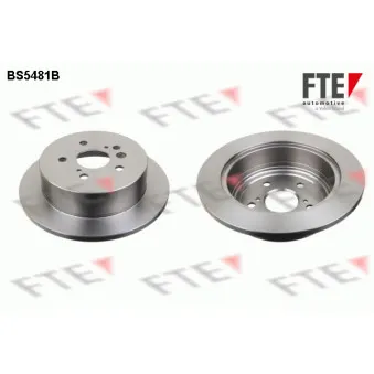 Jeu de 2 disques de frein arrière FTE BS5481B