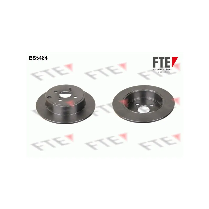 Jeu de 2 disques de frein arrière FTE BS5484