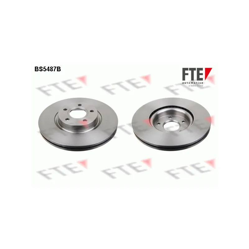 Jeu de 2 disques de frein avant FTE BS5487B