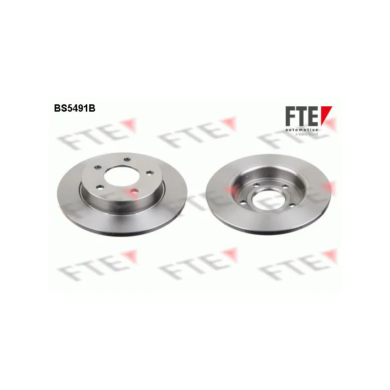 Jeu de 2 disques de frein arrière FTE BS5491B