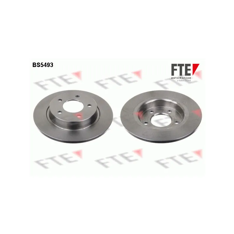 Jeu de 2 disques de frein arrière FTE BS5493