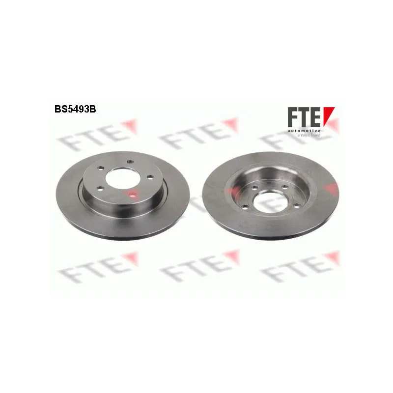Jeu de 2 disques de frein arrière FTE BS5493B