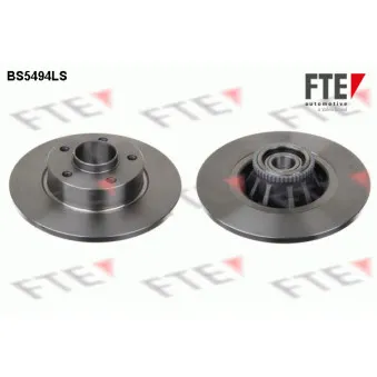 Jeu de 2 disques de frein arrière FTE BS5494LS