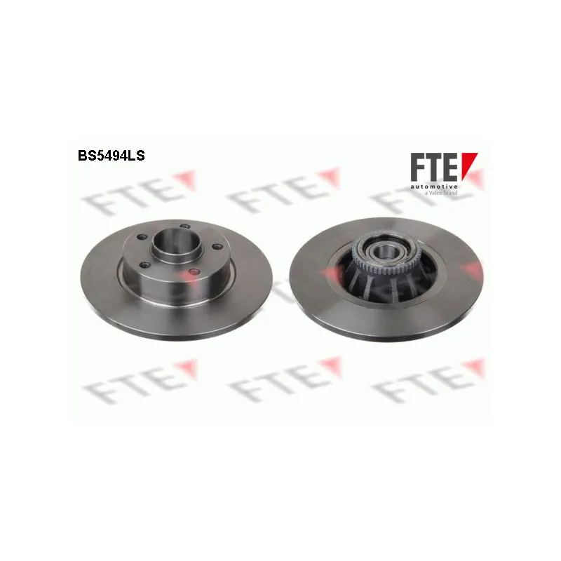 Jeu de 2 disques de frein arrière FTE BS5494LS
