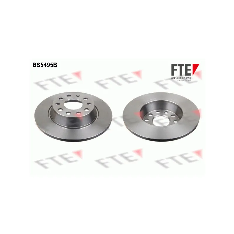 Jeu de 2 disques de frein arrière FTE BS5495B