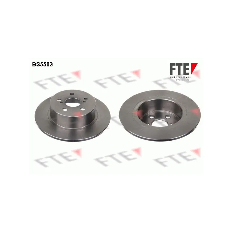 Jeu de 2 disques de frein arrière FTE BS5503