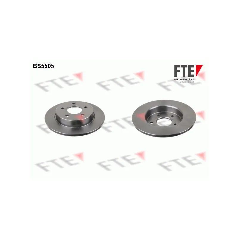 Jeu de 2 disques de frein arrière FTE BS5505