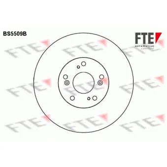 Jeu de 2 disques de frein avant FTE BS5509B