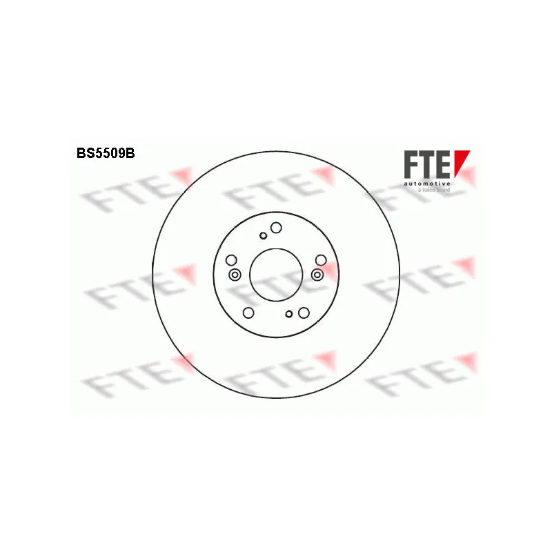 Jeu de 2 disques de frein avant FTE BS5509B