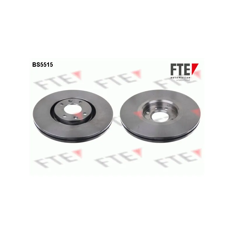 Jeu de 2 disques de frein avant FTE BS5515