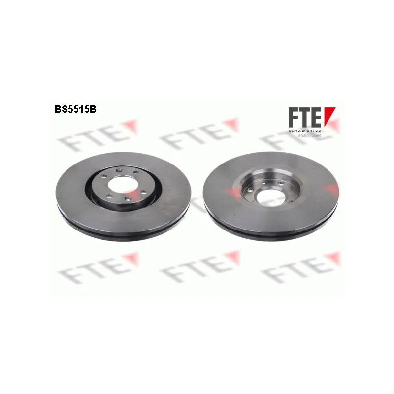 Jeu de 2 disques de frein avant FTE BS5515B