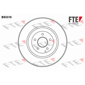 Jeu de 2 disques de frein avant FTE BS5516