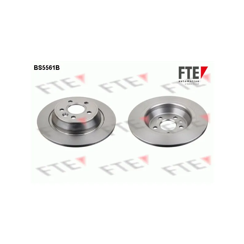 Jeu de 2 disques de frein arrière FTE BS5561B