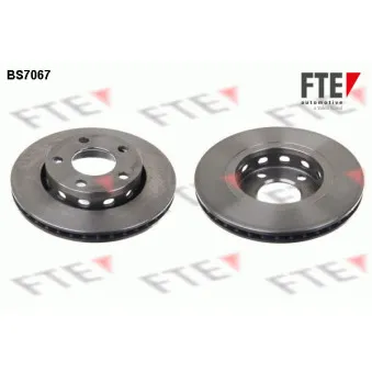 Jeu de 2 disques de frein arrière FTE BS7067