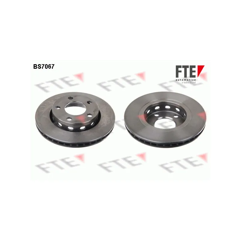 Jeu de 2 disques de frein arrière FTE BS7067