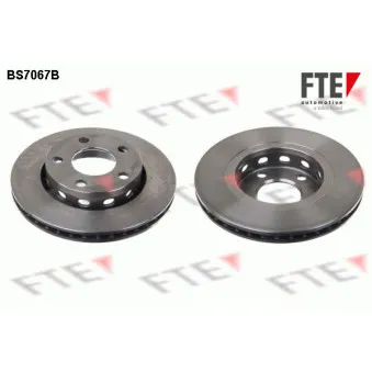 Jeu de 2 disques de frein arrière FTE BS7067B