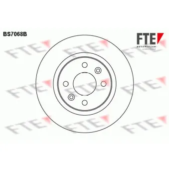 Jeu de 2 disques de frein avant FTE BS7068B