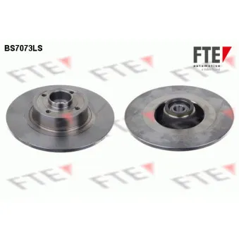 Jeu de 2 disques de frein arrière FTE BS7073LS