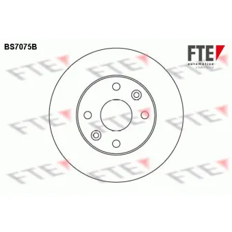 Jeu de 2 disques de frein avant FTE BS7075B