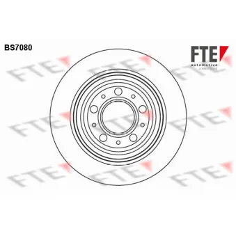 Jeu de 2 disques de frein arrière FTE BS7080