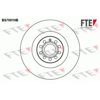 Jeu de 2 disques de frein avant FTE BS7081HB