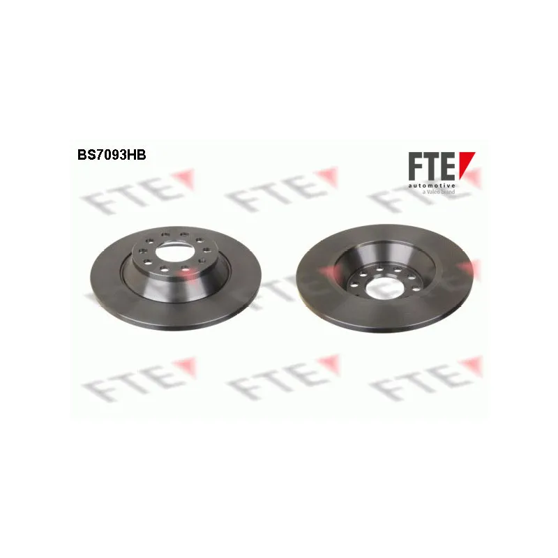 Jeu de 2 disques de frein arrière FTE BS7093HB
