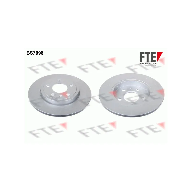 Jeu de 2 disques de frein arrière FTE BS7098