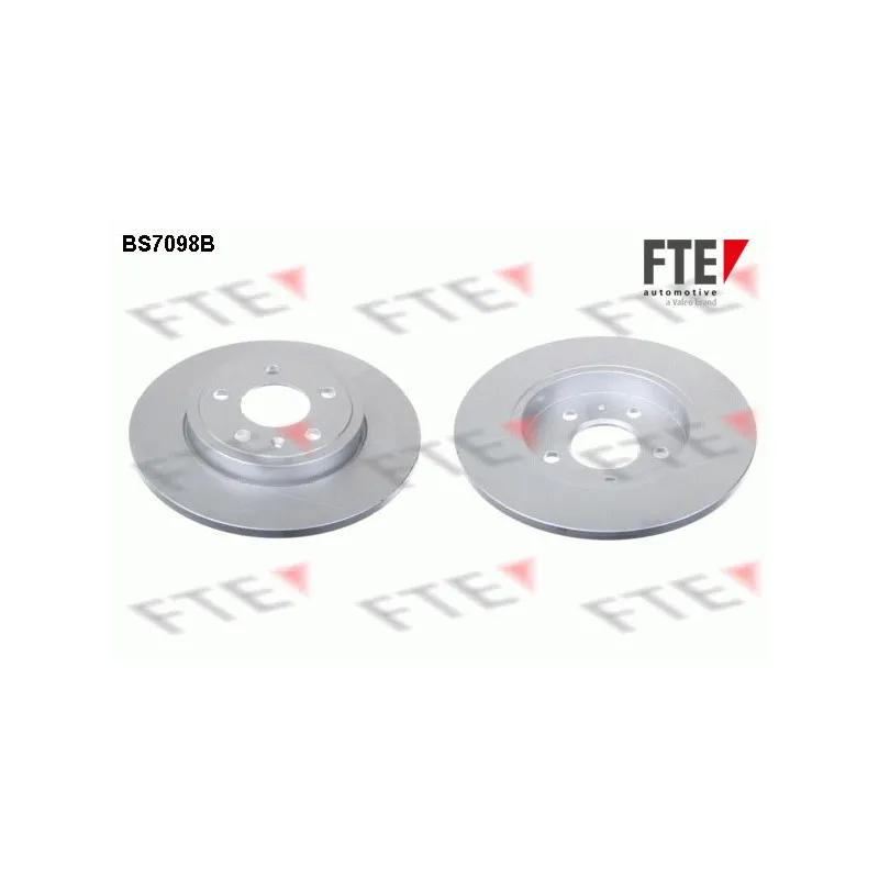 Jeu de 2 disques de frein arrière FTE BS7098B