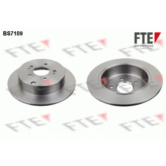 Jeu de 2 disques de frein arrière FTE BS7109