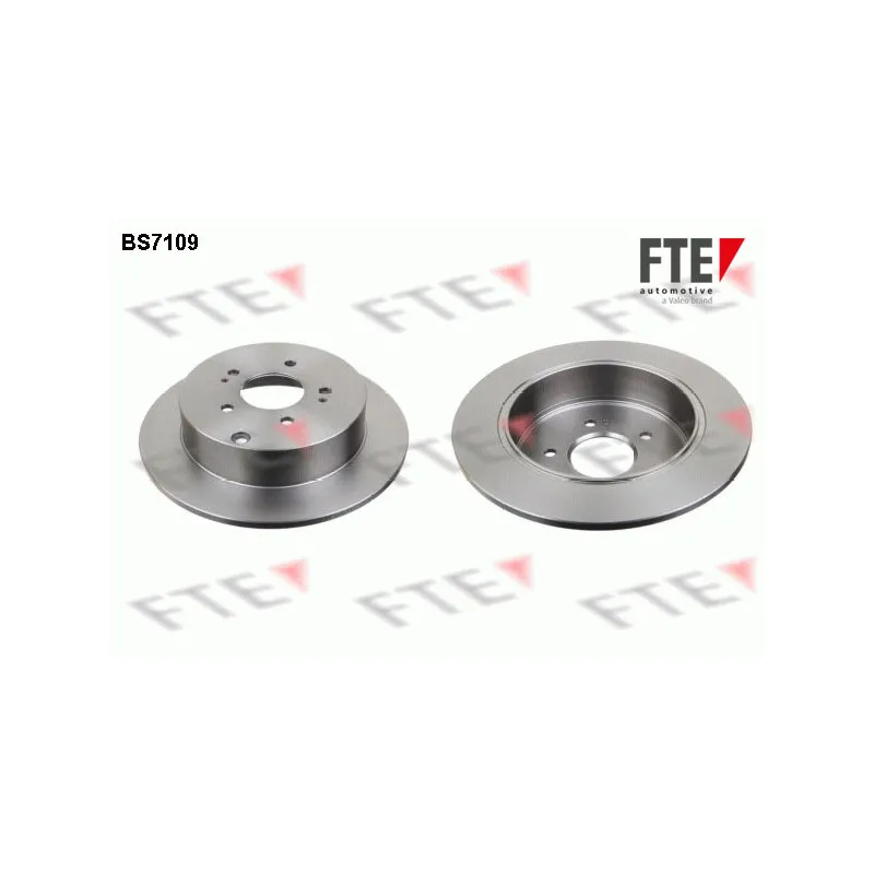 Jeu de 2 disques de frein arrière FTE BS7109