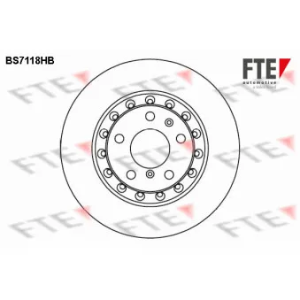 Jeu de 2 disques de frein arrière FTE BS7118HB