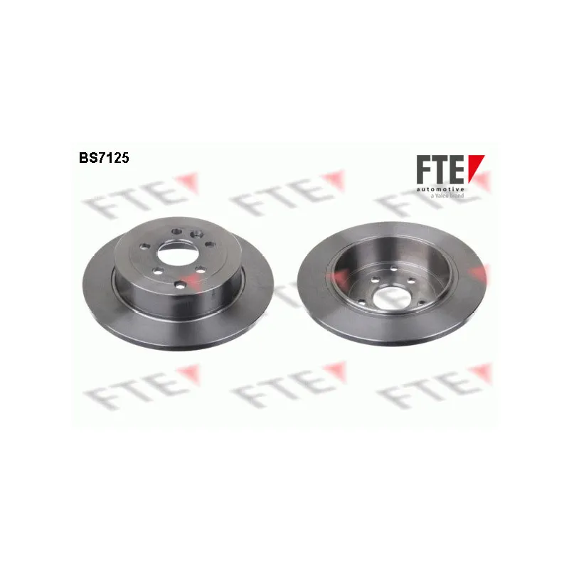 Jeu de 2 disques de frein arrière FTE BS7125